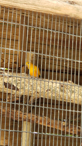 Zoo «Palm Beach Zoo & Conservation Society», reviews and photos, 1301 Summit Blvd, West Palm Beach, FL 33405, USA