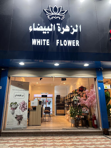 الزهرة البيضاء – White Flower 