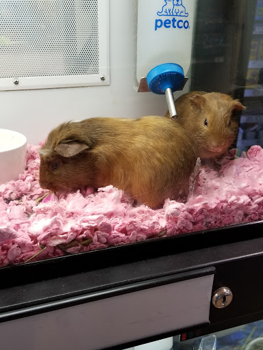 Pet Supply Store «Petco Animal Supplies», reviews and photos, 28400 Dequindre Rd, Warren, MI 48092, USA