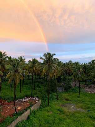 Google Maps image 11