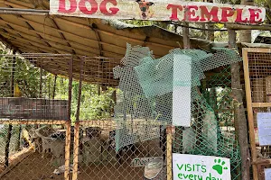 Dog Temple image