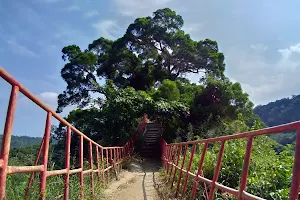 Tianzhong Forest Park Trail image
