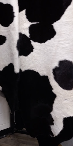 Shopping Mall «West Broad Commons Shopping Ctr», reviews and photos, 9031 W Broad St, Richmond, VA 23294, USA