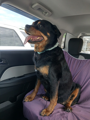 Pet Supply Store «Pet Food Warehouse, Ltd.», reviews and photos, 2455 Shelburne Rd, Shelburne, VT 05482, USA