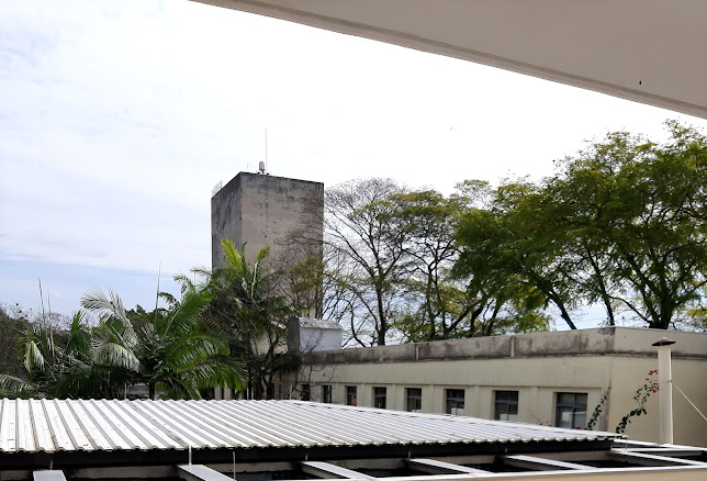 Instituto de Física - São Paulo