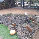 Photo n°3 de l'avis de Davide.i fait le 06/09/2020 à 16:30 sur le  TRADIZIONE SICILIANA Ristorante Da Leo à Linguaglossa