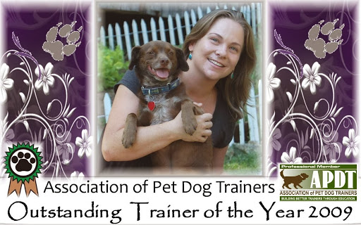 Dog Trainer «Dog Door Behavior Center and Outfitters», reviews and photos, 1 Battle Square A, Asheville, NC 28801, USA