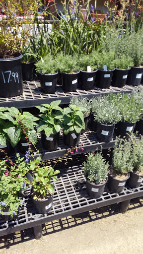 Hardware Store «Santa Barbara Home Improvement Center», reviews and photos, 415 E Gutierrez St, Santa Barbara, CA 93101, USA