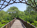 Wisata Mangrove Wonorejo Surabaya