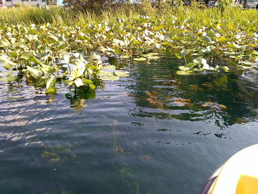 Water Park «Pioneer Waterland & Dry Fun Park», reviews and photos, 10661 Kile Rd, Chardon, OH 44024, USA