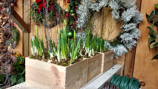 Garden Center «Copia Home and Garden», reviews and photos, 475 Smith Ridge Rd, South Salem, NY 10590, USA