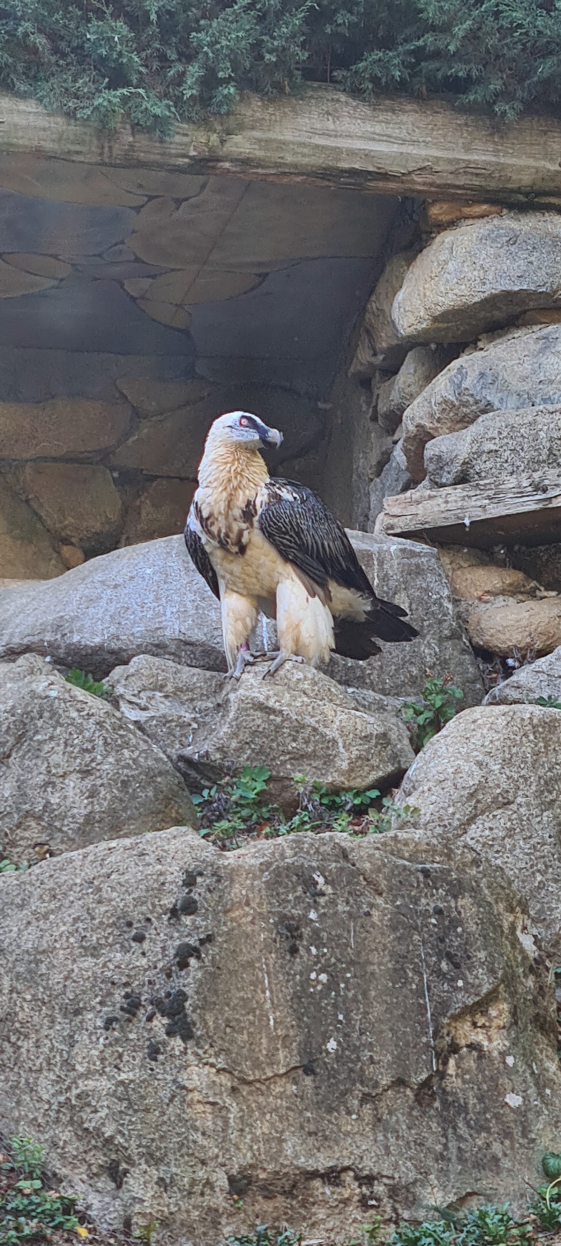 Photo n° 7 de l'avis de Jacky.r fait le 18/09/2022 à 05:13