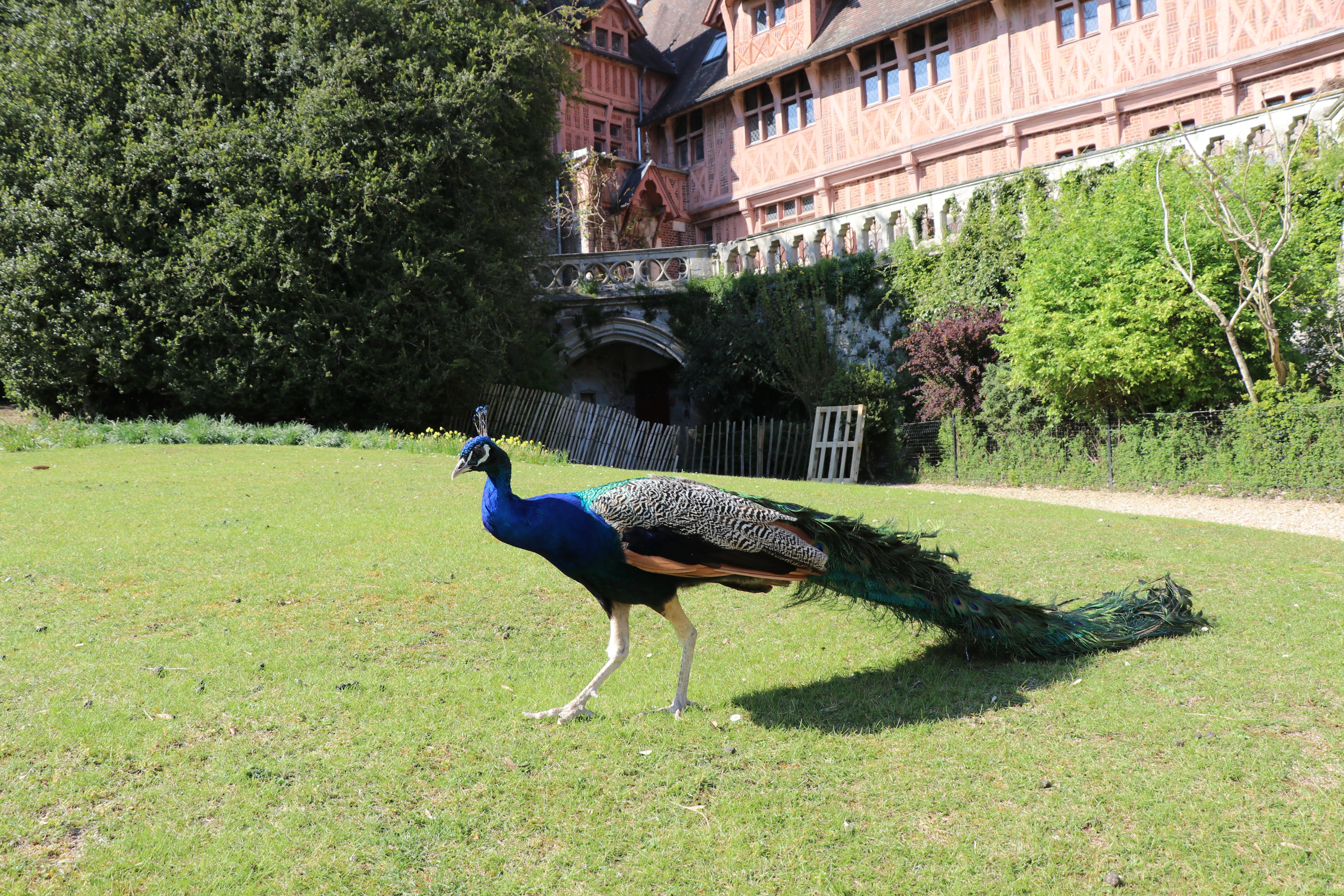 Photo n° 9 de l'avis de Julien.a fait le 21/04/2019 à 07:39