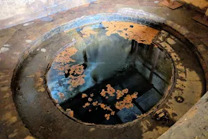 Taff's Well Thermal Spring image