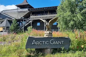 Arctic Giant image