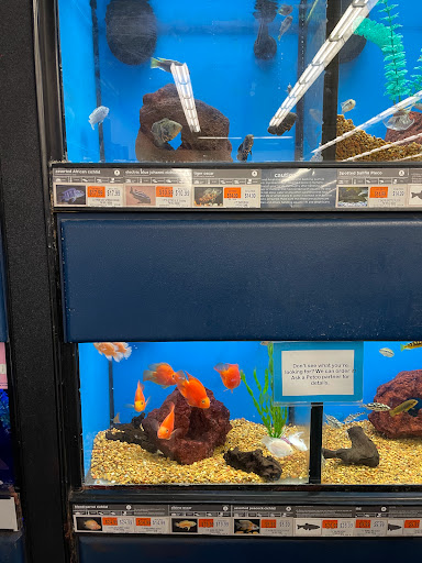 Pet Supply Store «Petco Animal Supplies», reviews and photos, 6181 Old Dobbin Ln #800, Columbia, MD 21045, USA