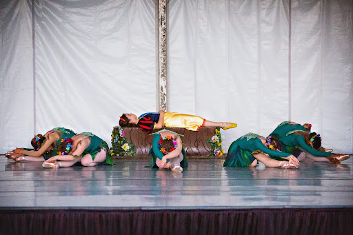 Dance School «Destiny Dance Institute», reviews and photos, 1839 S Main St # 374, Wake Forest, NC 27587, USA