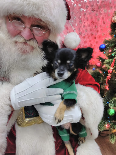 Pet Store «Park Avenue Birds & Pet Supply», reviews and photos, 120 W Center St, West Bridgewater, MA 02379, USA