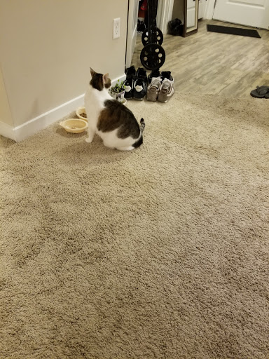 Pet Supply Store «Petco Animal Supplies», reviews and photos, 10060 US Highway 40 G-150, Ellicott City, MD 21042, USA