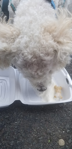 Ice Cream Shop «The Ice Cream Shoppe», reviews and photos, 310 N Main St, Blakely, PA 18447, USA