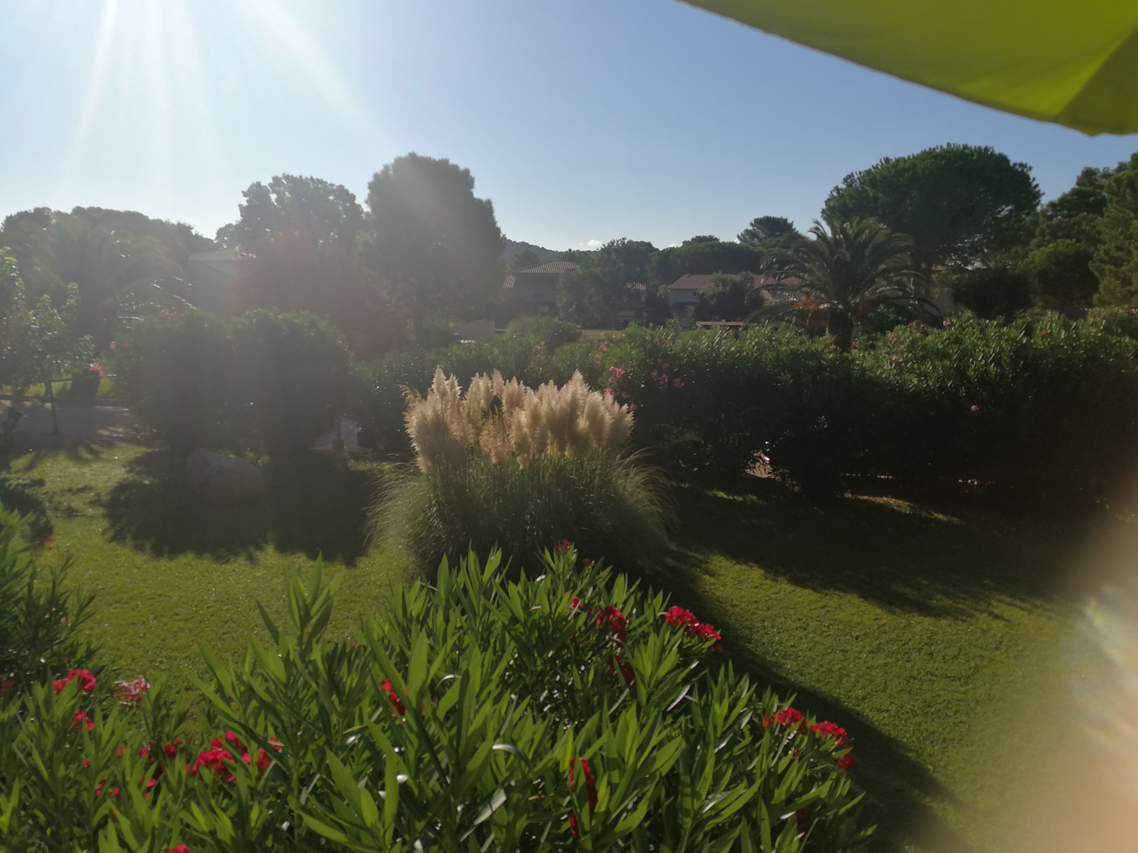 Photo n° 1 de l'avis de Mélo. fait le 01/10/2018 à 16:30