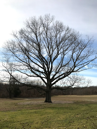 Park «Poricy Park Nature Center», reviews and photos, 345 Oak Hill Rd, Red Bank, NJ 07701, USA