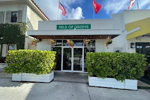 Field of Greens - Palm Beach Island image