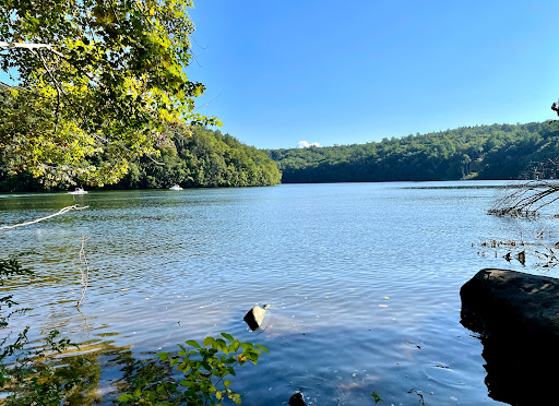 Old Bridge Bird Sanctuary