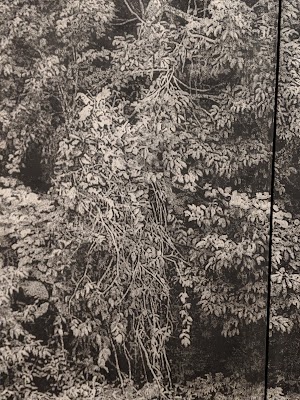 Museum of Latin American Art (MOLAA) - photo 86