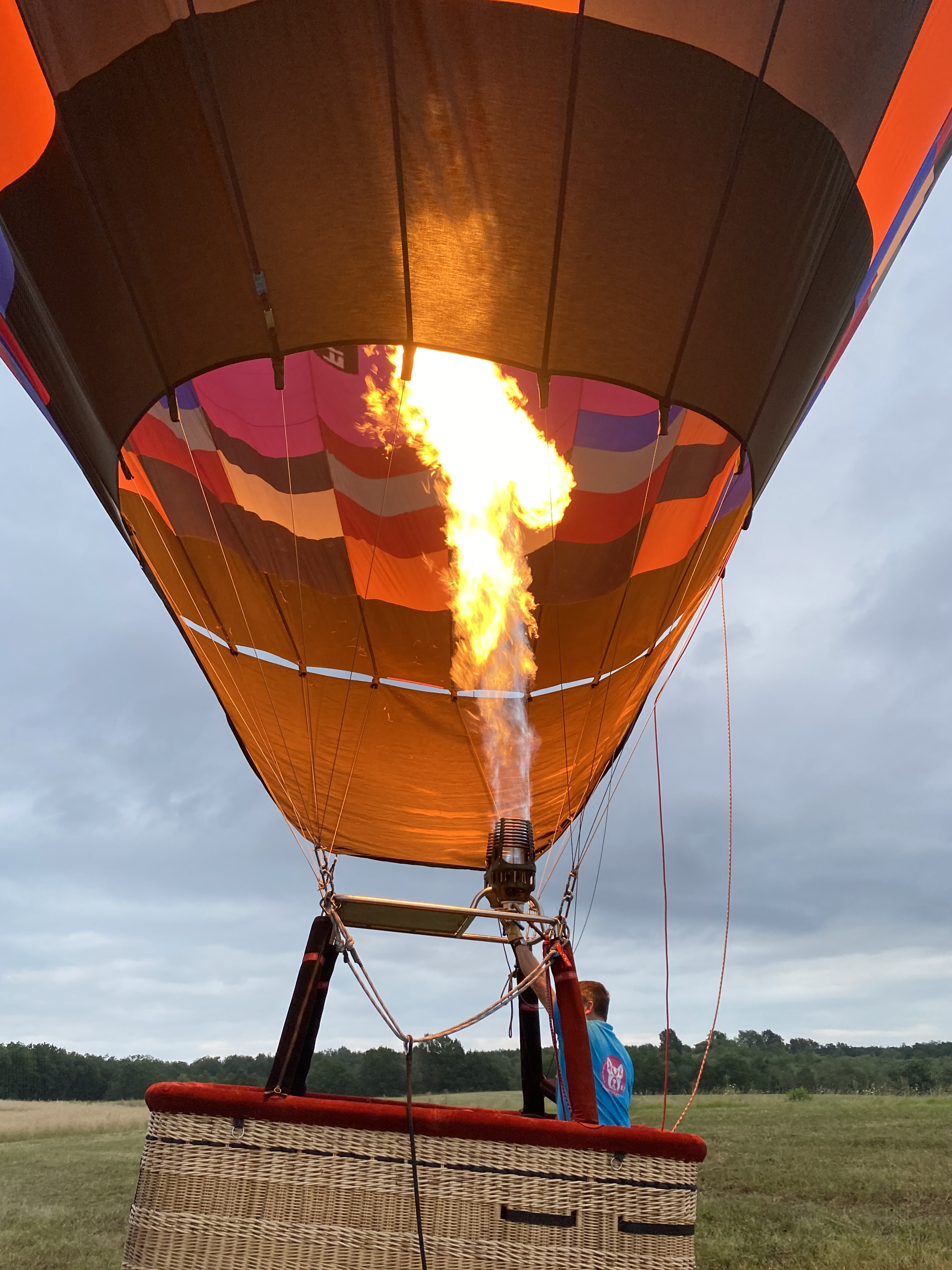 Photo n° 1 de l'avis de Veronique.e fait le 16/07/2023 à 09:54