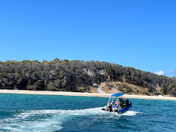 Photo de Bowarrady Creek Beach avec un niveau de propreté de très propre