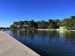 Plage De Conleau'in fotoğrafı geniş ile birlikte