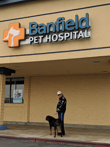 Pet Supply Store «PetSmart», reviews and photos, 4100 Ming Ave, Bakersfield, CA 93309, USA