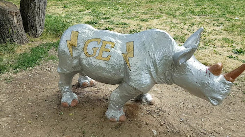 Rhinocéros de l'INSA à Villeurbanne