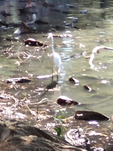 Golf Course «Fairmount Golf Course», reviews and photos, 2681 Dexter Dr, Riverside, CA 92501, USA