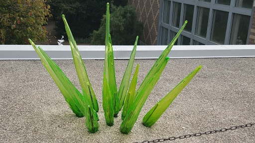 Botanical Garden «Franklin Park Conservatory and Botanical Gardens», reviews and photos, 1777 E Broad St, Columbus, OH 43203, USA