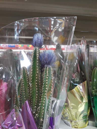 Drug Store «CVS», reviews and photos, 101 Plaza Center, Secaucus, NJ 07094, USA