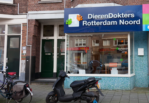DierenDokters Rotterdam Noord