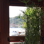 Photo n°2 de l'avis de Angelo.s fait le 21/10/2020 à 07:22 sur le  Ristorante della Baia à Porto Venere