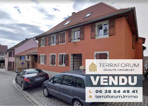 TERRAFORUM IMMOBILIER Agence immobilière du KOCHERSBERG à Durningen