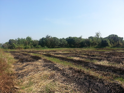 Ama's Land (Phen Din Thong Project Kamphengphet)