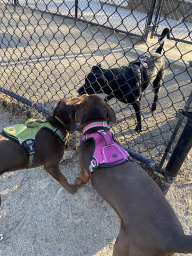 Dog Park «Brookdale Dog Park», reviews and photos, W Circuit Dr, Montclair, NJ 07043, USA