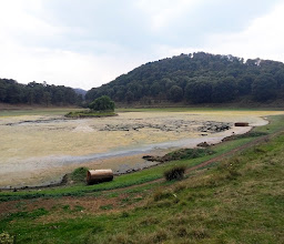 Parque Estatal El Ocotal photo