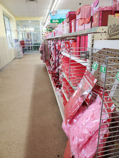 Dollar Store «Dollar Tree», reviews and photos, 1280 Lititz Pike, Lancaster, PA 17601, USA