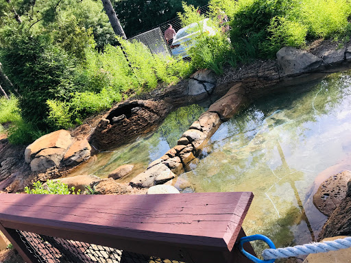 Water Park «Geyser Falls Water Theme Park», reviews and photos, 209 Black Jack Rd, Choctaw, MS 39350, USA