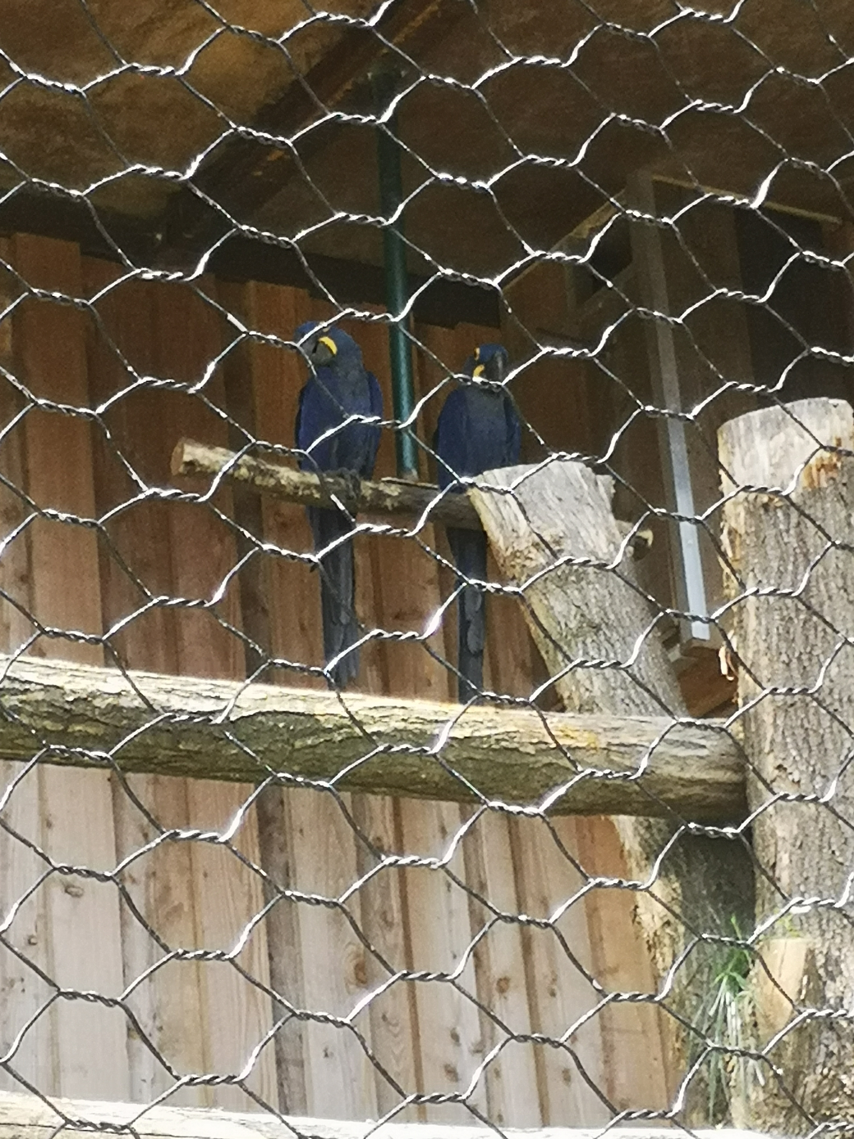 Photo n° 1 de l'avis de Léonie. fait le 26/08/2023 à 20:22