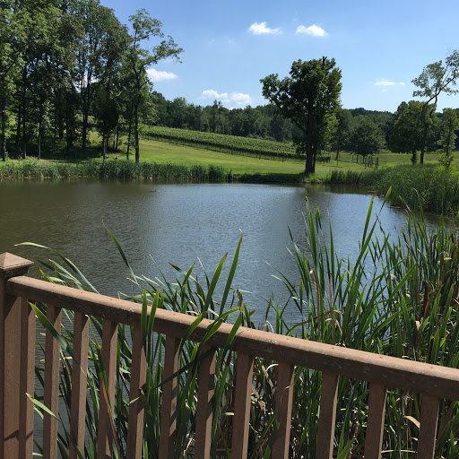 Winery «Casanel Vineyards», reviews and photos, 17956 Canby Rd, Leesburg, VA 20175, USA