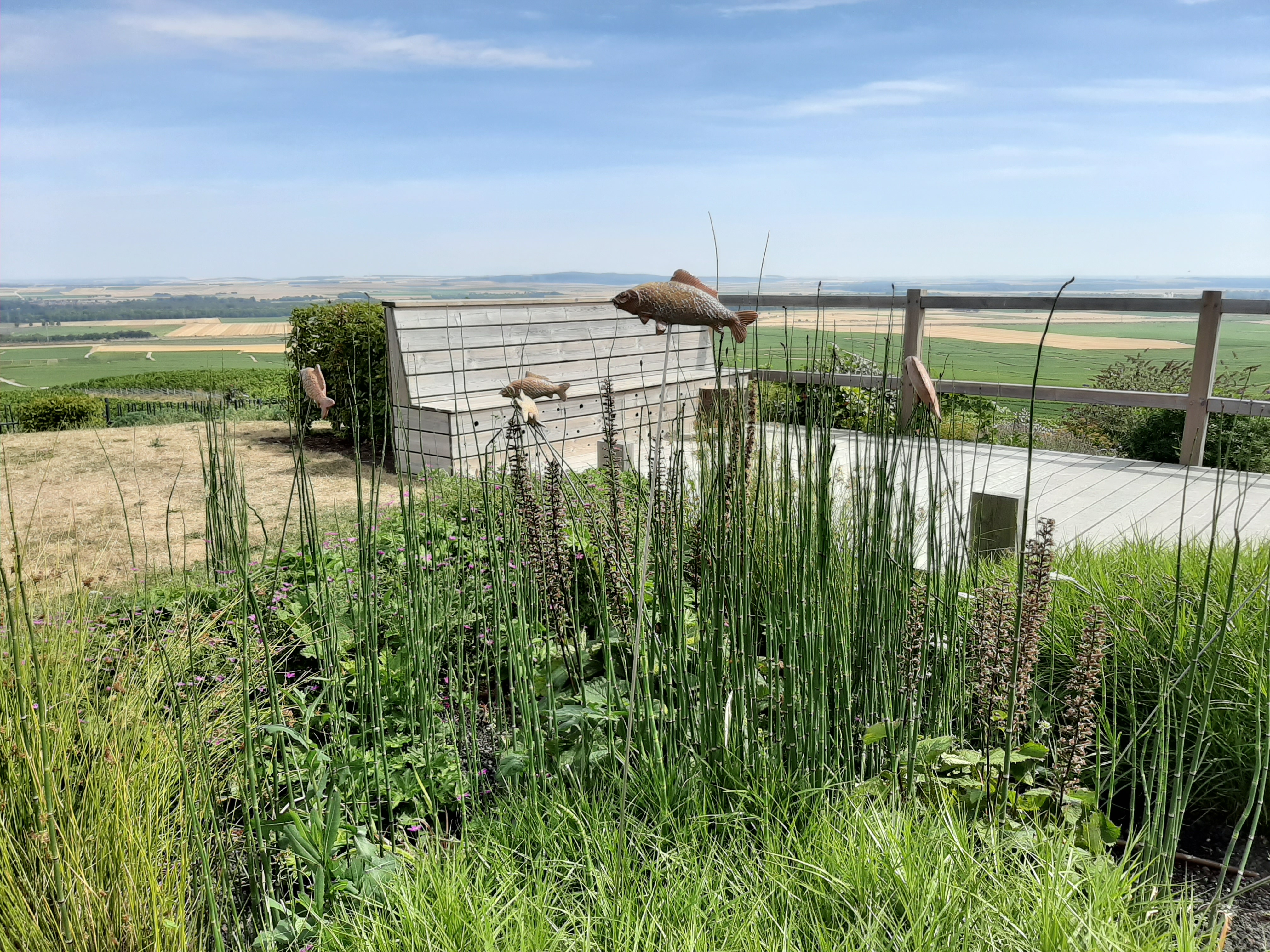 Photo n° 6 de l'avis de Xavier.e fait le 15/08/2019 à 11:14