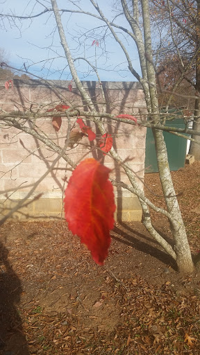 Park «Riverside Park», reviews and photos, 575 Riverside Rd, Roswell, GA 30075, USA