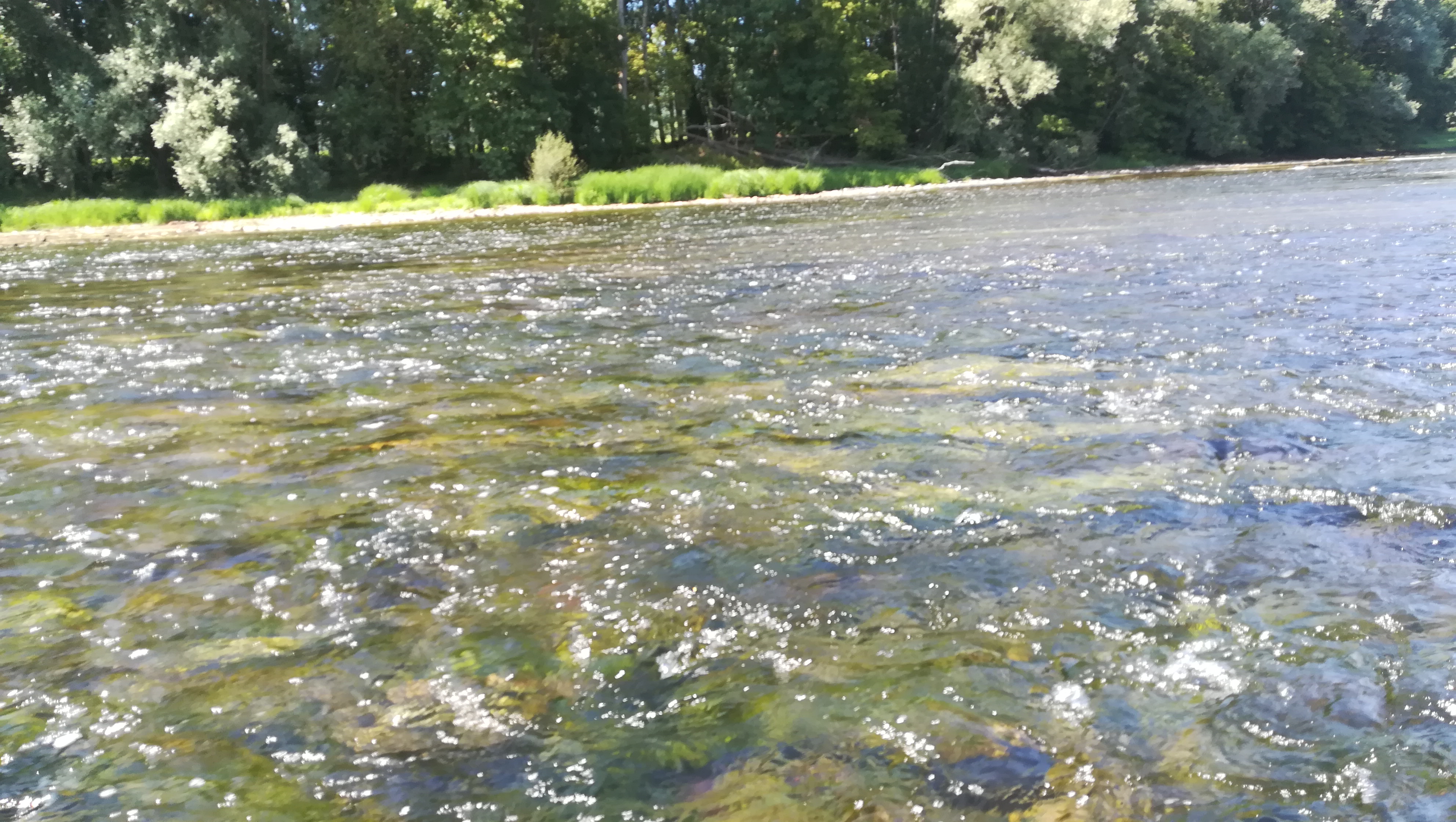 Photo n° 8 de l'avis de Sandrine.e fait le 02/08/2019 à 15:26